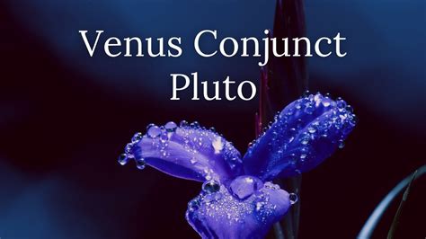 Venus represents beauty, kindness, life, while Pluto symbolizes death and all those aspects of our personality that we want to hide from other people. . Venus conjunct pluto wealth